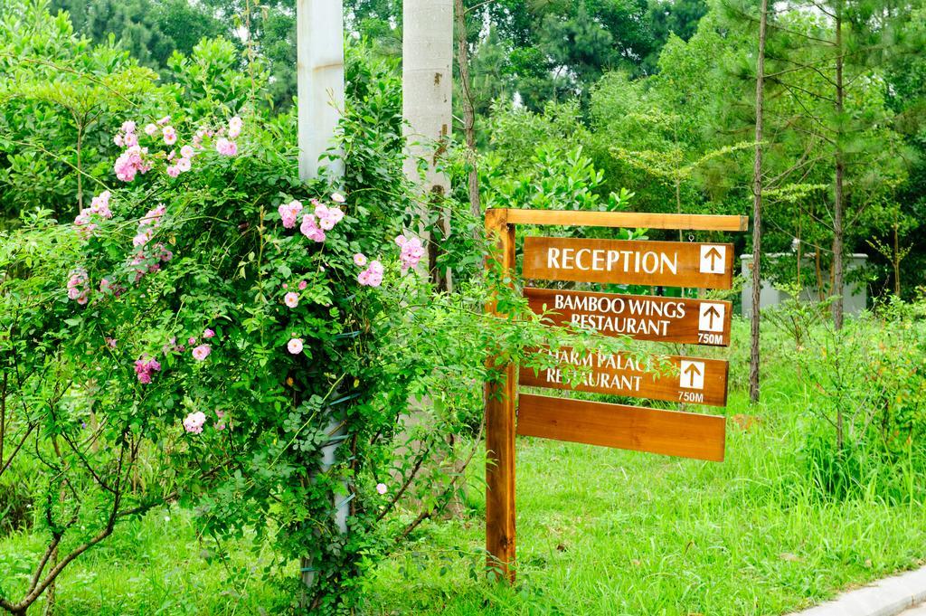 Flamingo Dai Lai Resort Ngoc Quang Exteriér fotografie